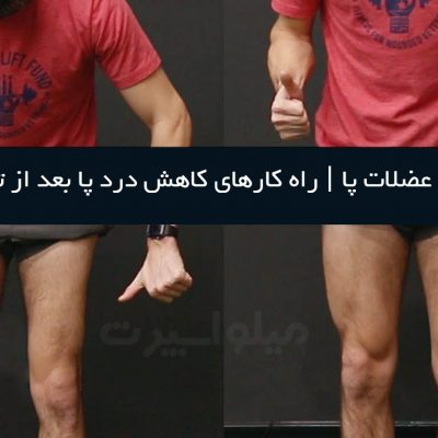 رشد عضلات پا